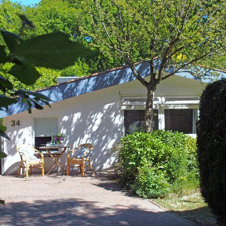 Vakantiehuis La Petite Redousse Renesse Eksteriør bilde