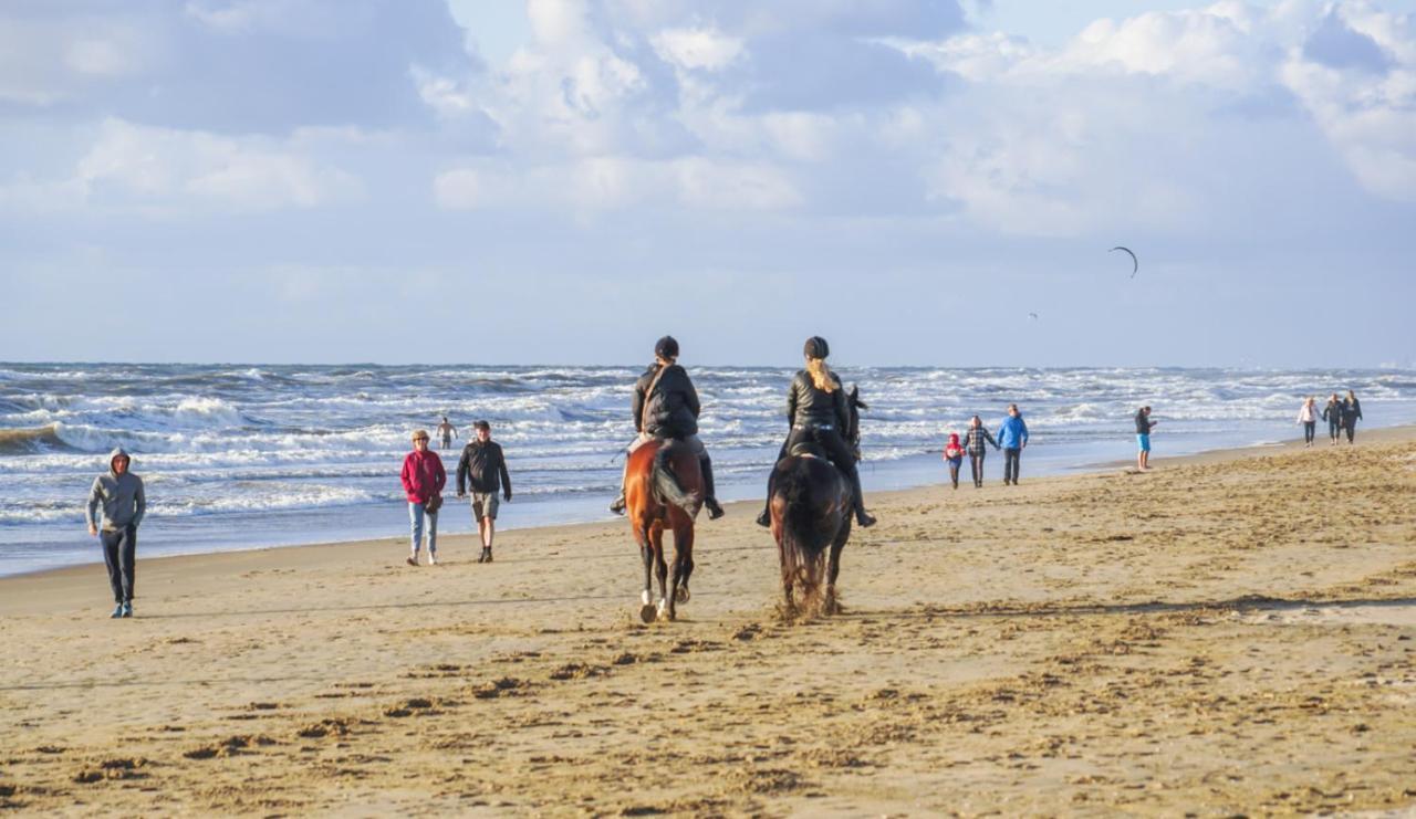 Vakantiehuis La Petite Redousse Renesse Eksteriør bilde